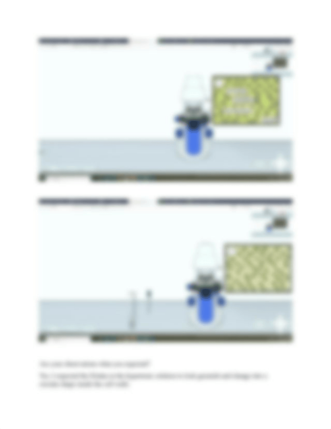 Lab Report Diffusion and Osmosis.docx_d34ho8ffrra_page4