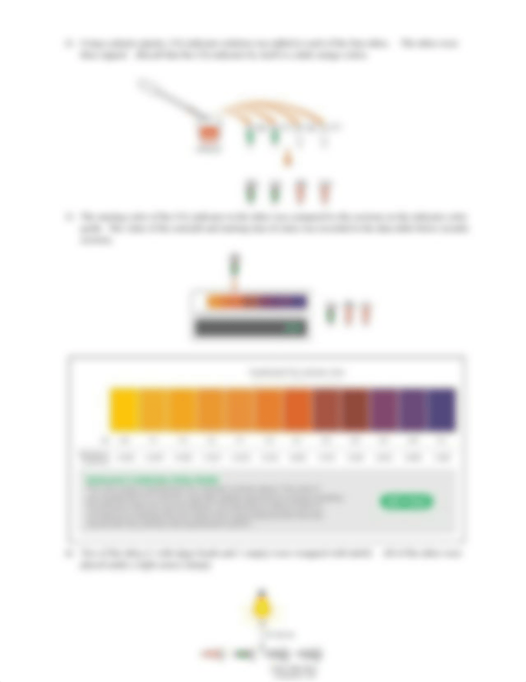 Photosynthesis Experiment Online (1).docx_d34jkjdkv38_page2