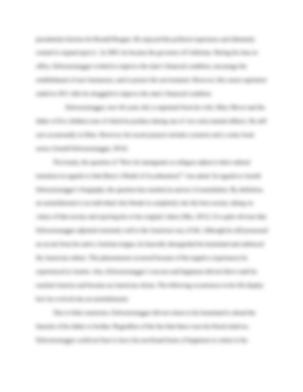 Acculturation Case Study_d34xz3e81w6_page3