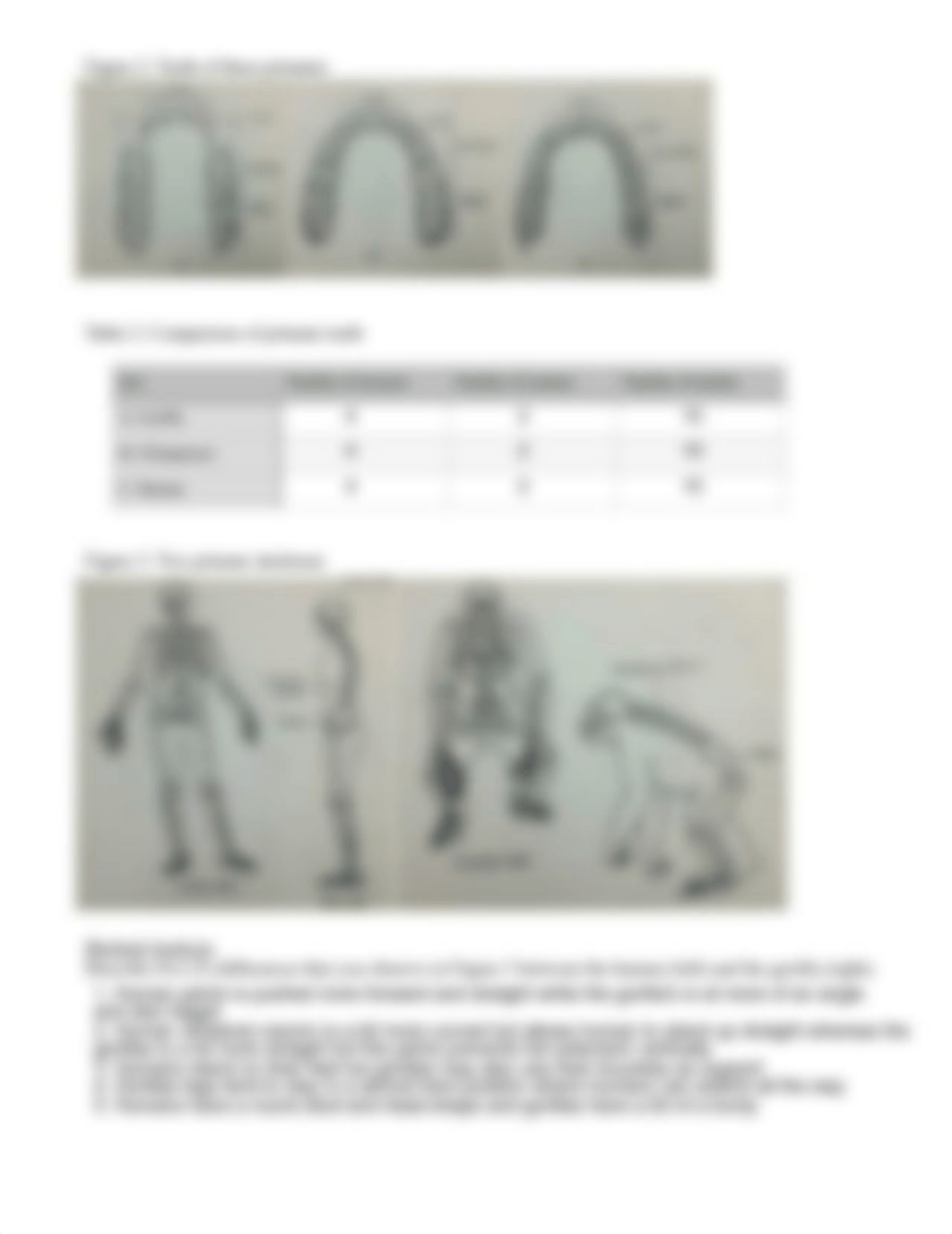 Comparing Primate Skeletons-1 (1).pdf_d353hdzyxzb_page2