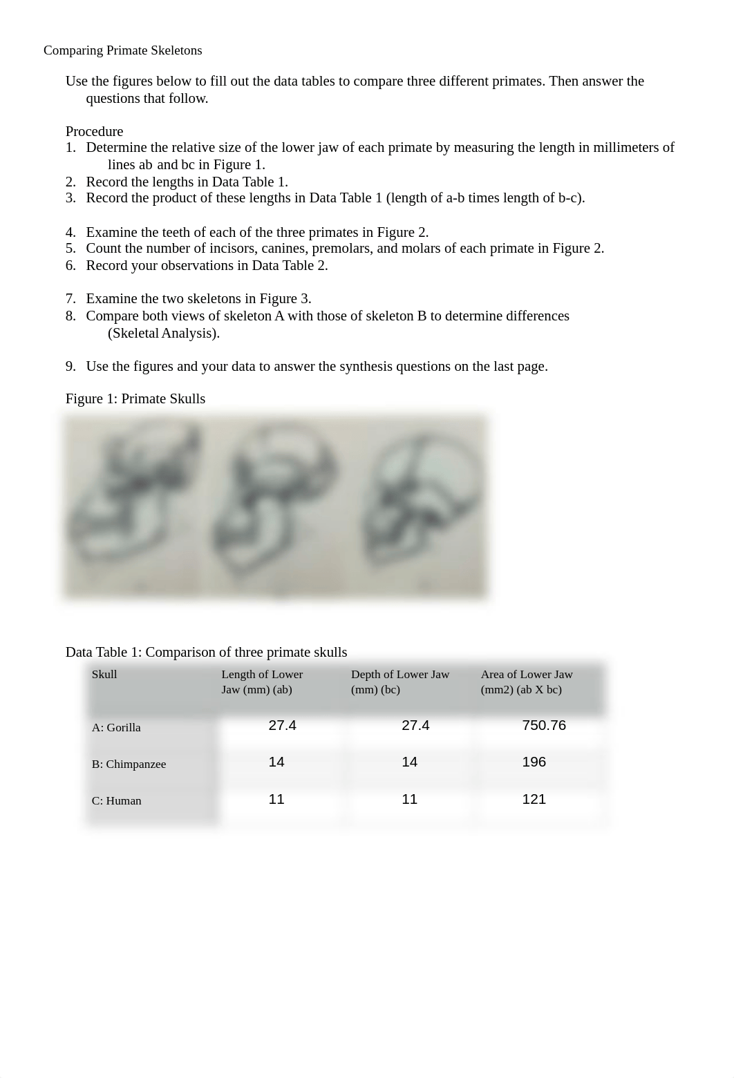 Comparing Primate Skeletons-1 (1).pdf_d353hdzyxzb_page1