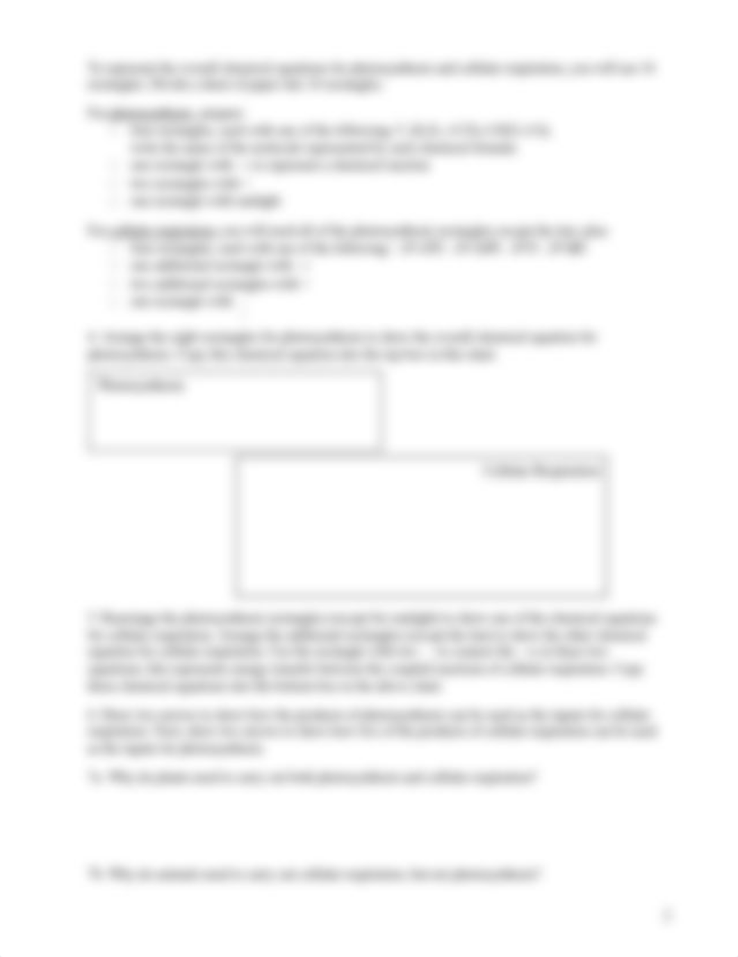 photosynthesis cellular respiration SHO (1) (1).docx_d35jl0laxti_page2