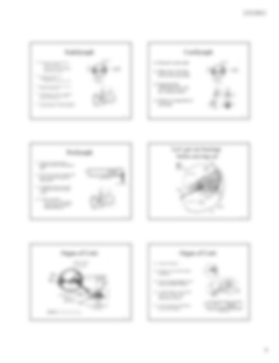 Anatomy of inner ear notes_d35mbj0u4pr_page4