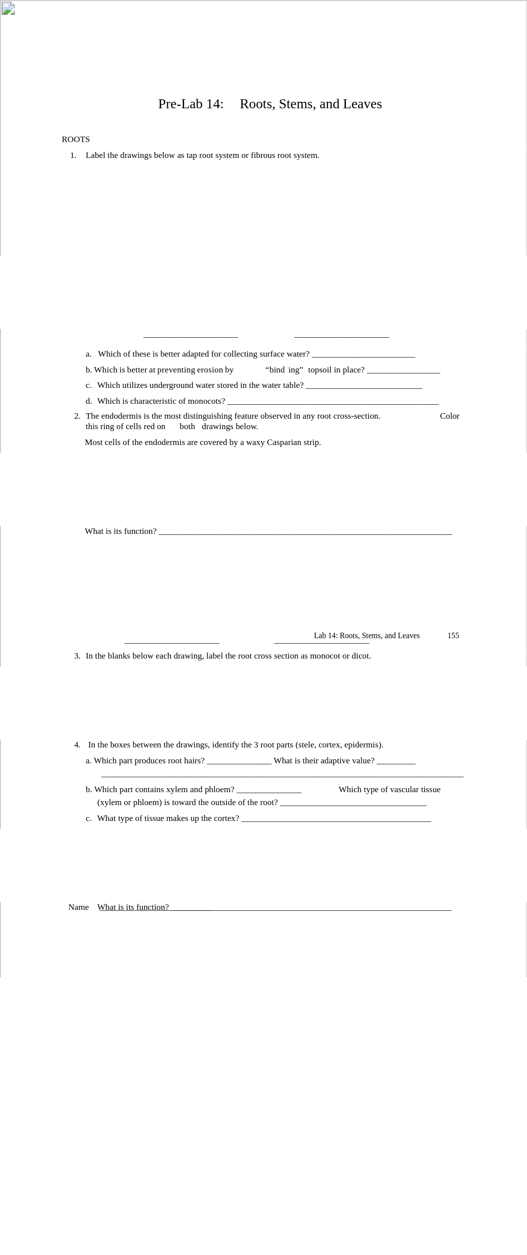 n_Prelab 14 Roots, Stems, Leaves.pdf_d35qsemvlw6_page1