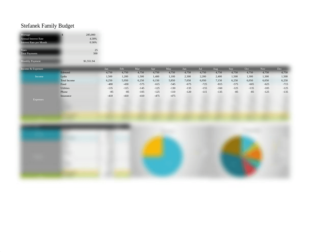 Stefanek Budget.xlsx_d35r9ga6cfv_page2