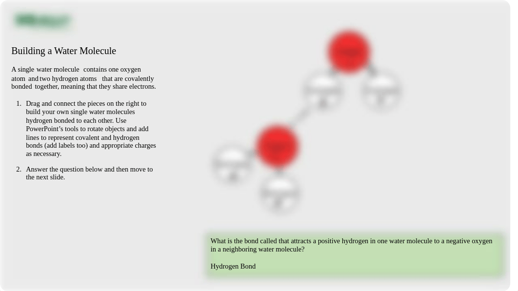 BIO153_Fall2020_HomeworkSet2-Part2 Hess, Sarah.pptx_d35yr1o6n2l_page3