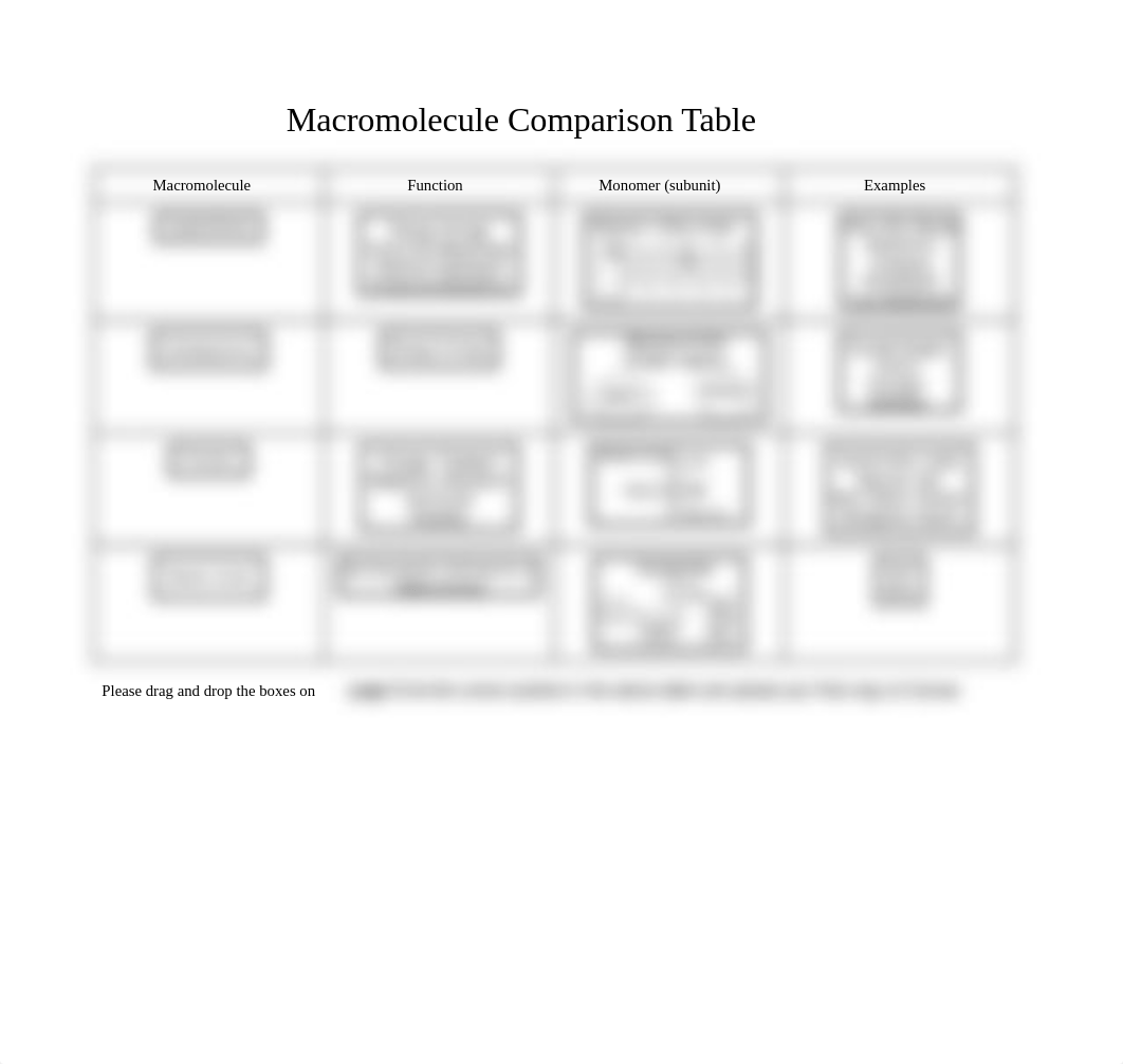 Macromolecule+Comparison+Table_Drag%26Drop.docx_d36cftig073_page1