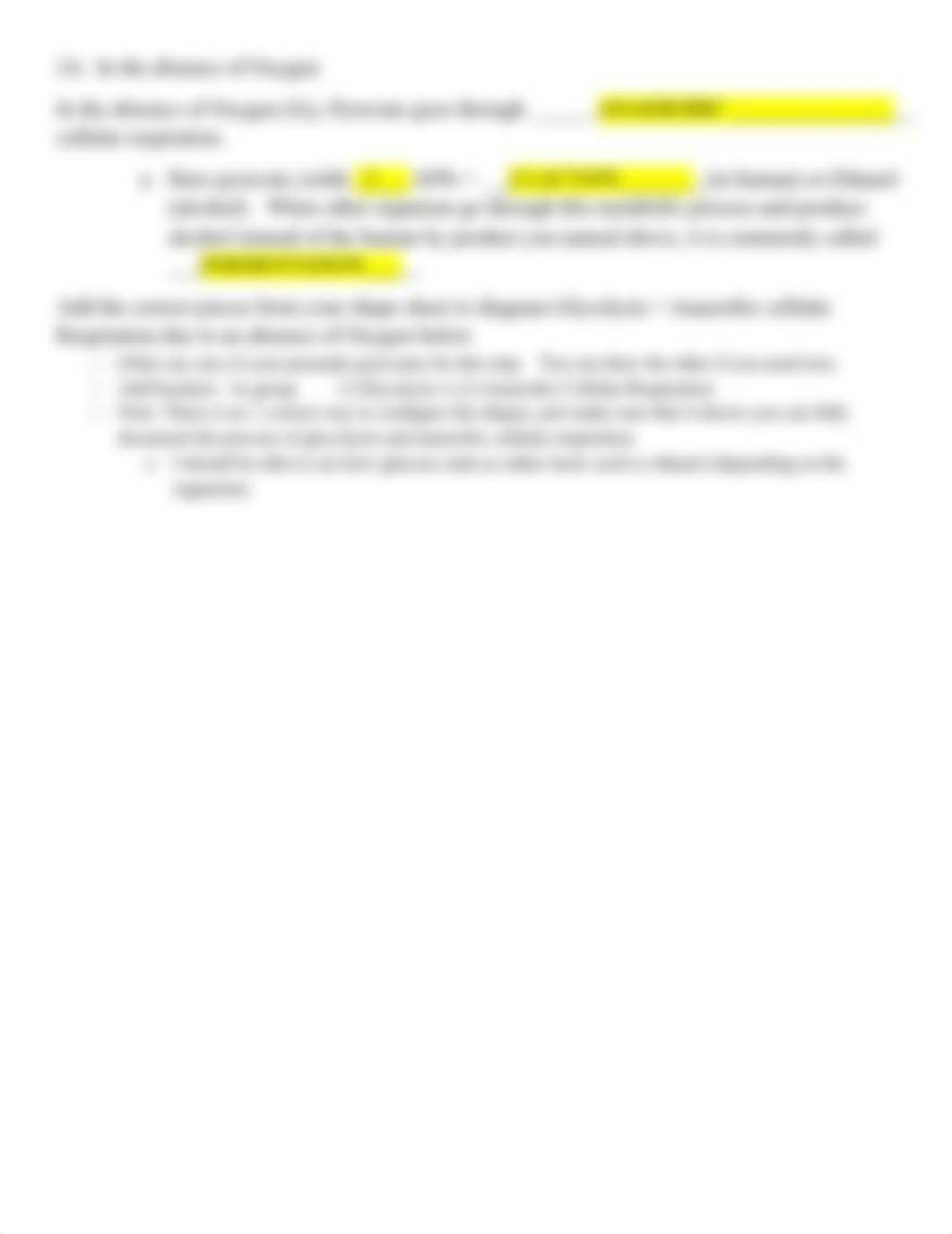 HOL_metabolism.docx_d36glcvhj60_page2