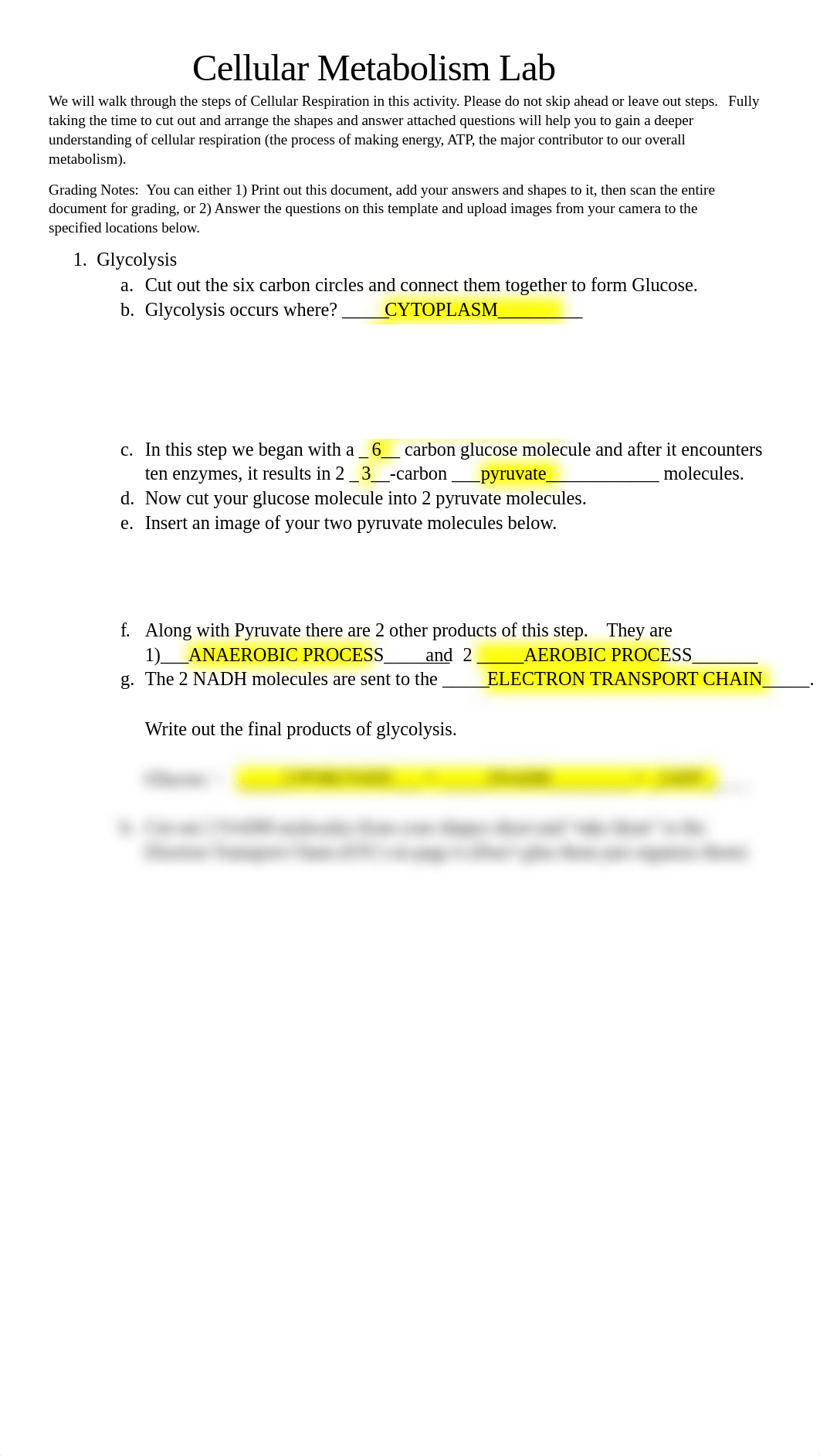 HOL_metabolism.docx_d36glcvhj60_page1