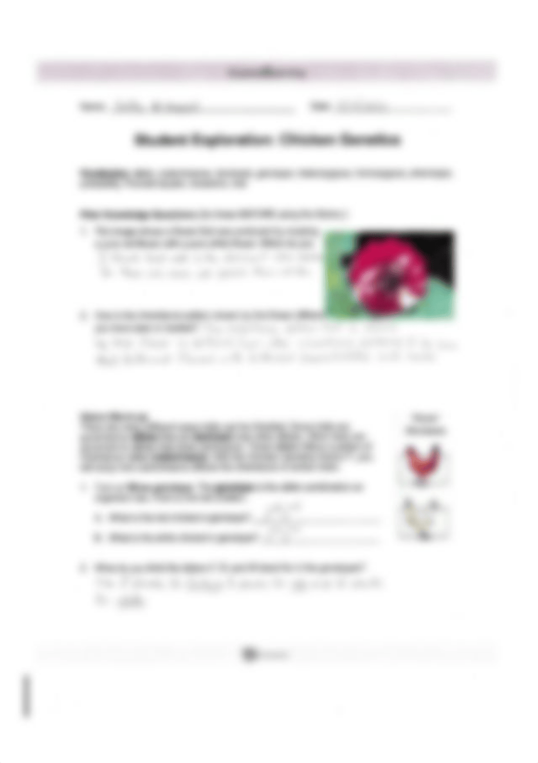 Chicken Genetics #1.jpg_d36j20ub8ud_page1