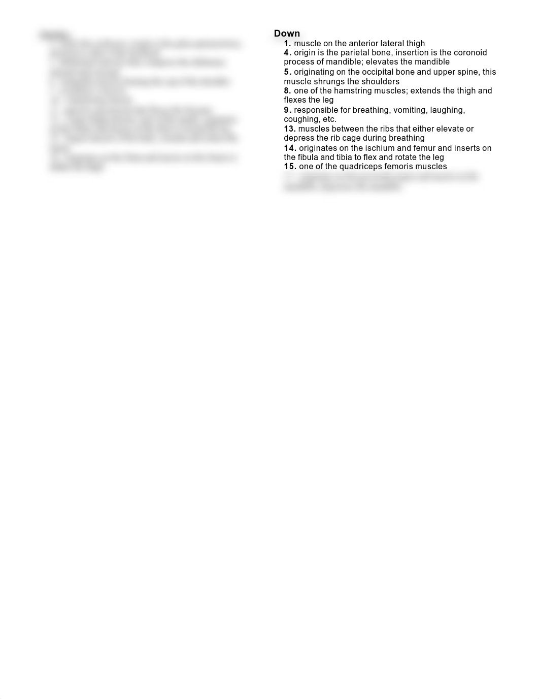 Muscle Gross Anatomy crossword.pdf_d36r7bljcx8_page2