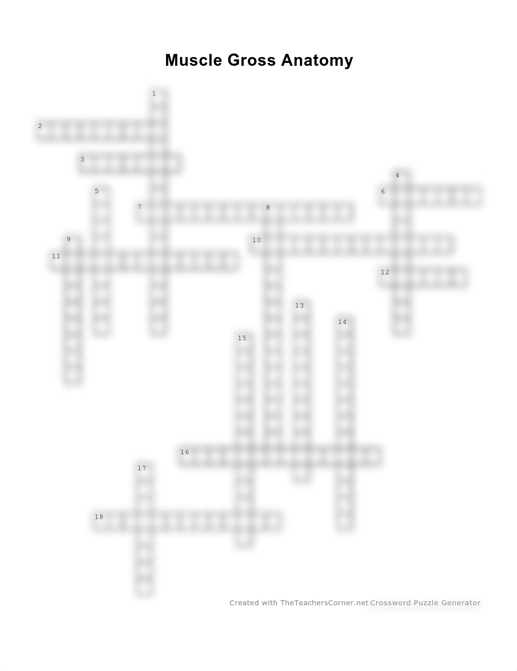 Muscle Gross Anatomy crossword.pdf_d36r7bljcx8_page1