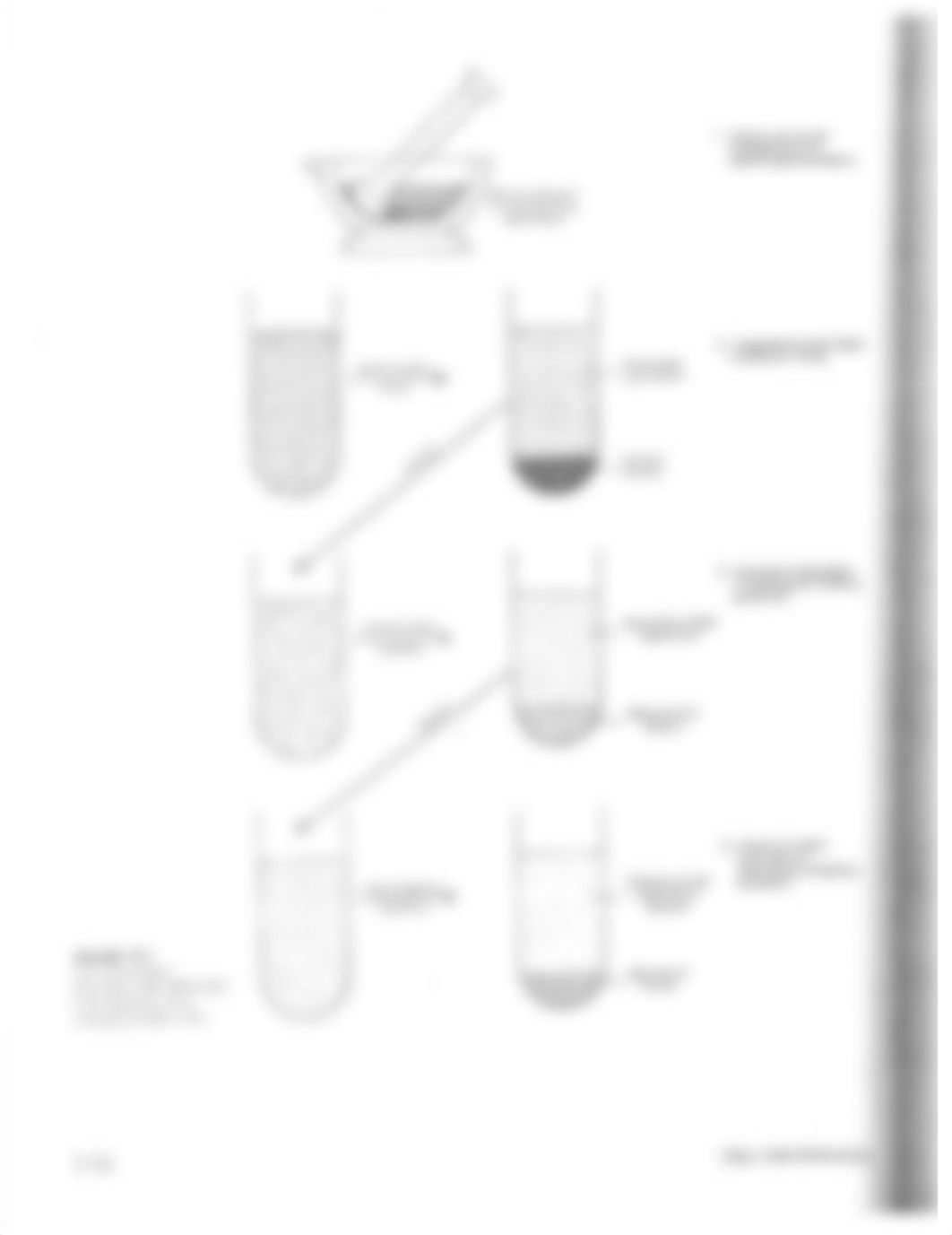 Chloroplast Extraction.pdf_d371pag3f1x_page2