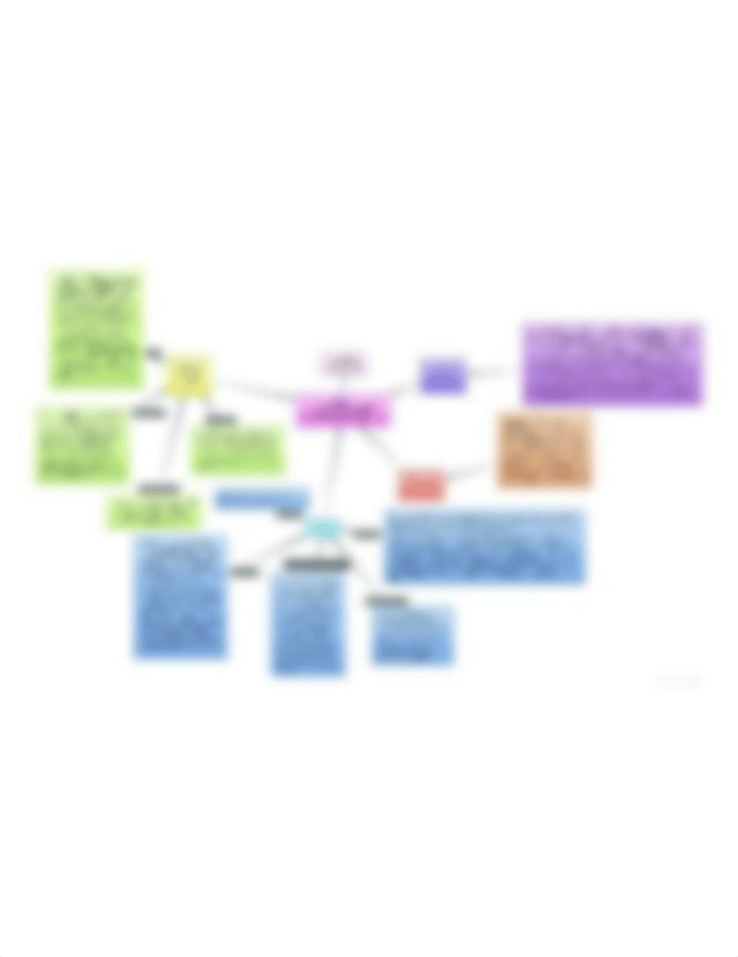 NUR510_ConceptMap2.docx.jpg_d37a7on9ziu_page1