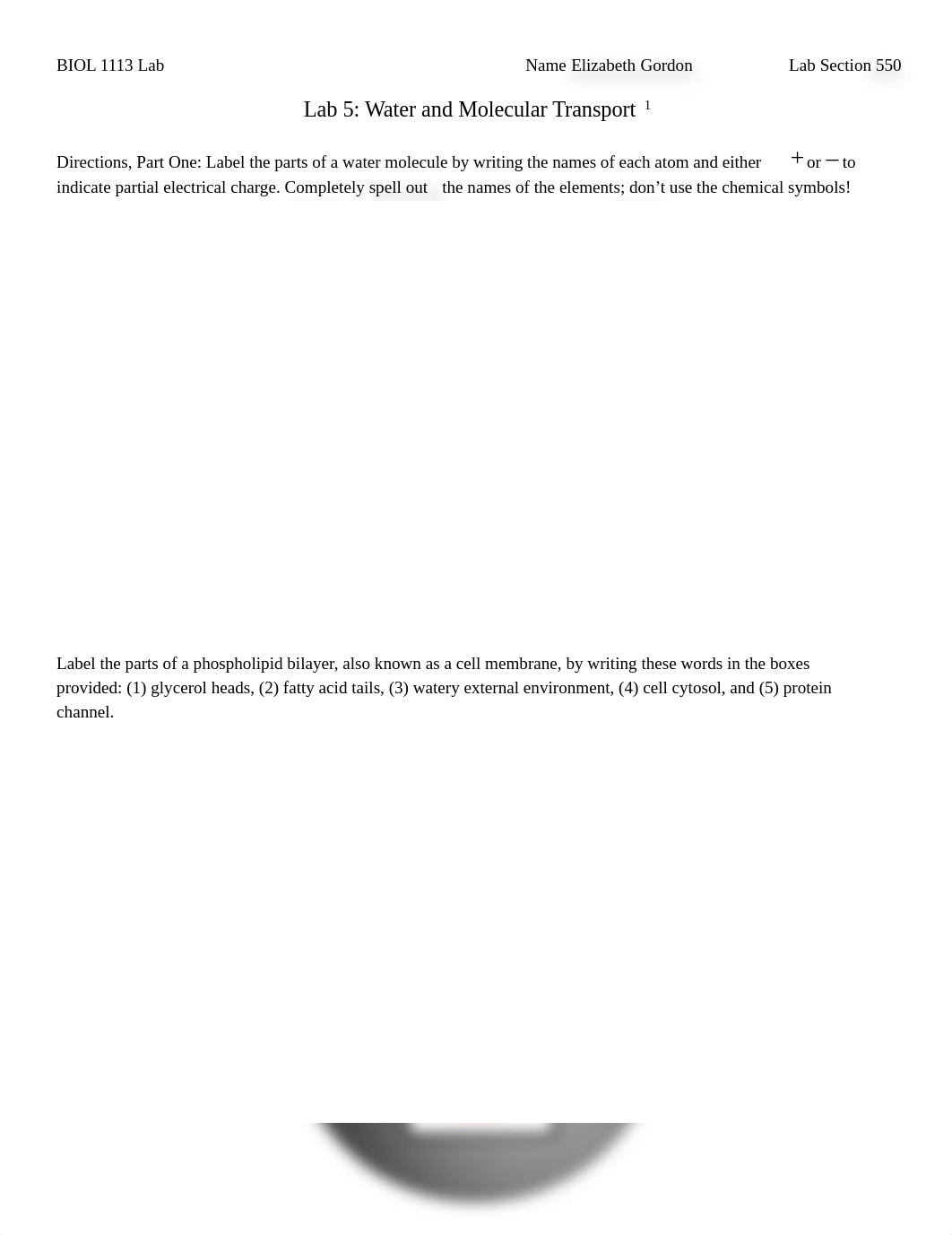 BIOL 1113 Lab5_E.Gordon.docx_d37i23oeoia_page1