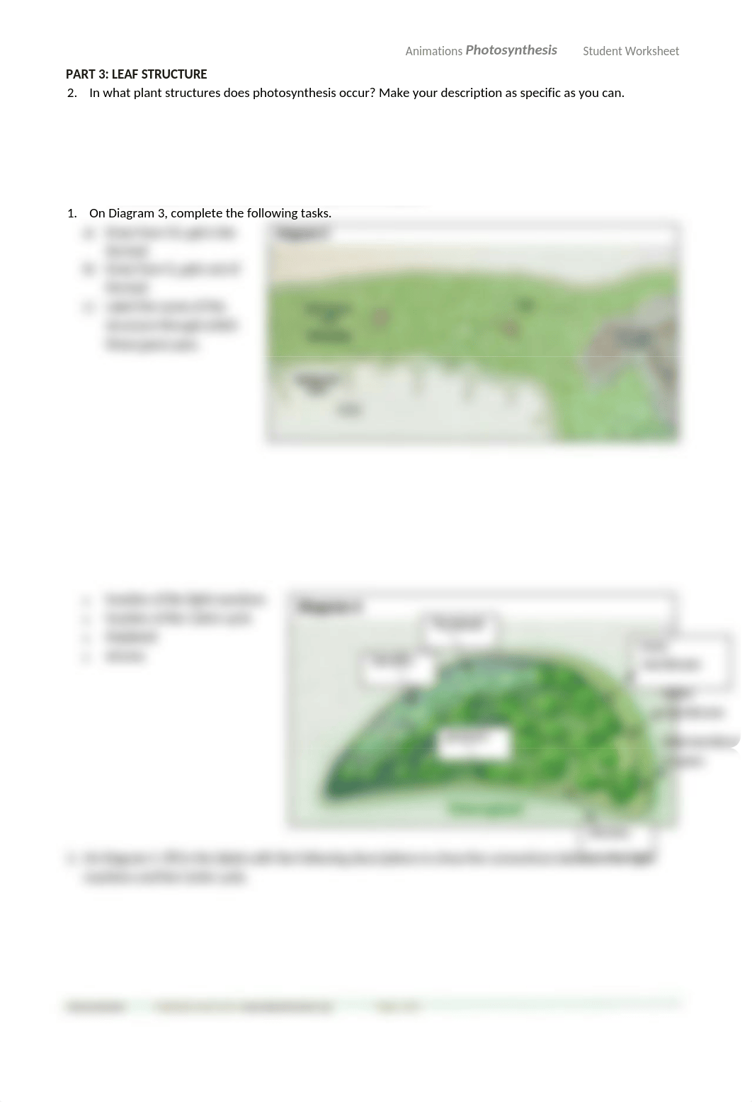 HHMI Photosynthesis Worksheet (2).docx_d37ivco4d20_page3