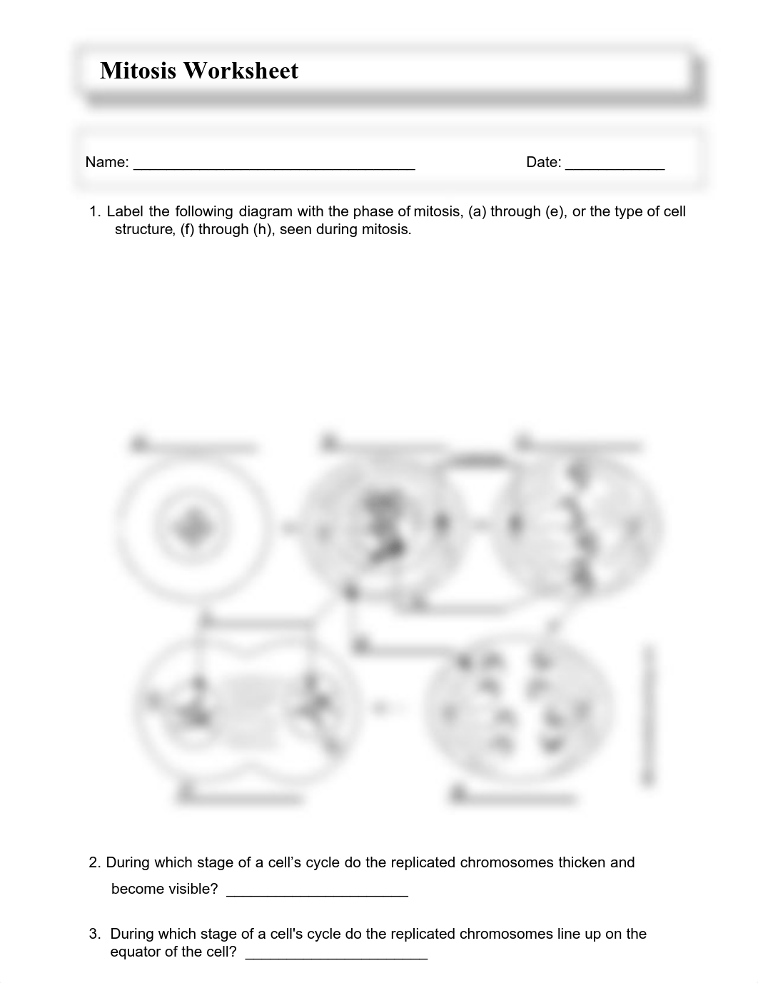 mitosis_worksheet_d37u8wcnjdc_page1