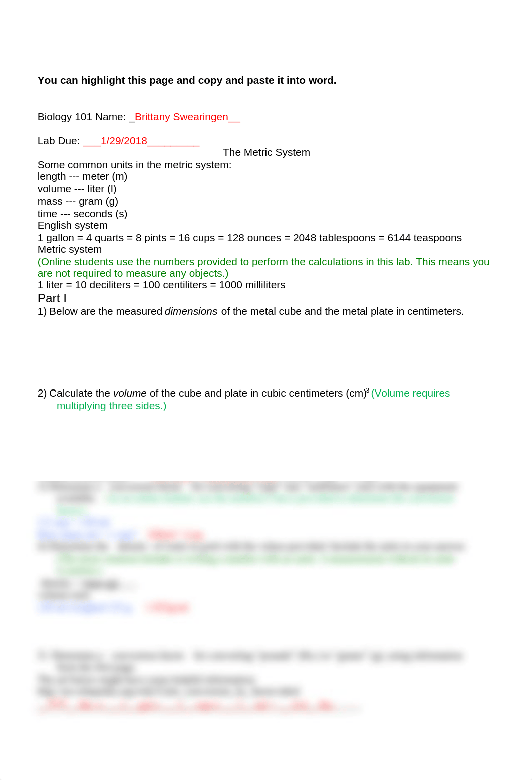 metric lab I.rtf_d380383mkah_page1