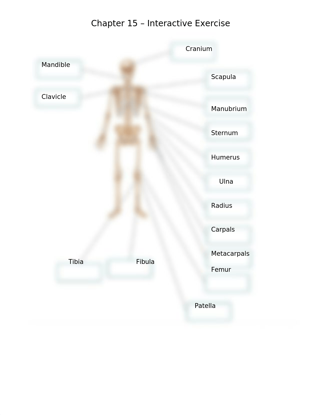 Chapter 15 - Interative Exercise.docx_d387c18q2oj_page2