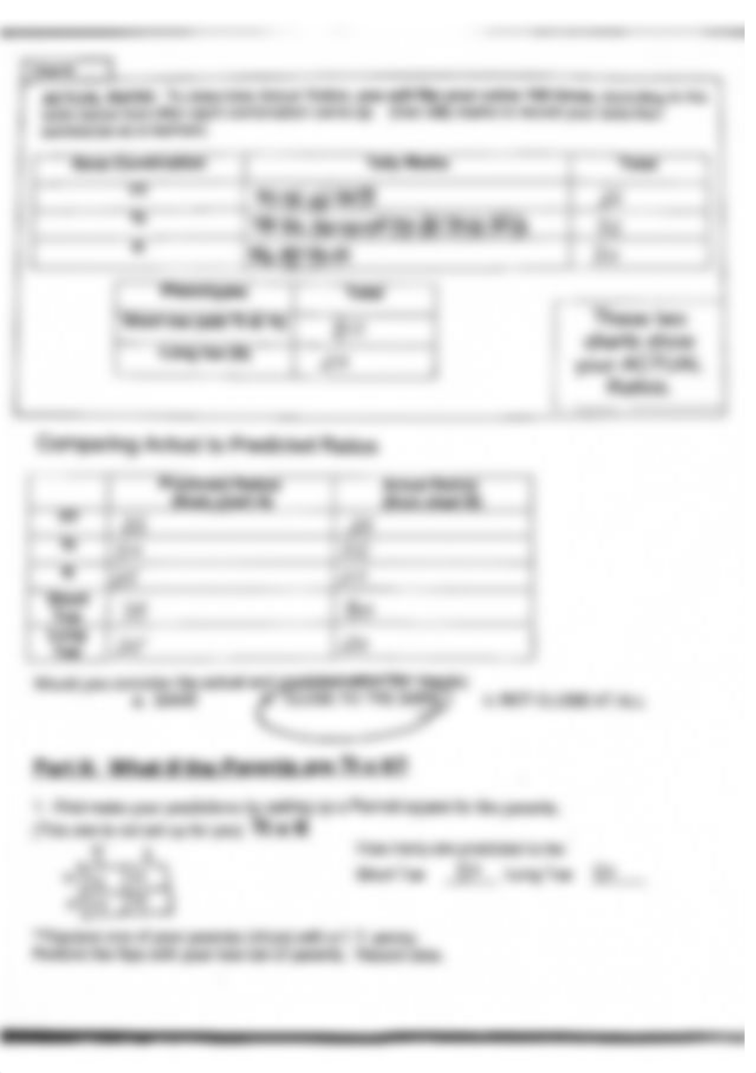 Penny Genetics.pdf_d38a92eejtg_page4