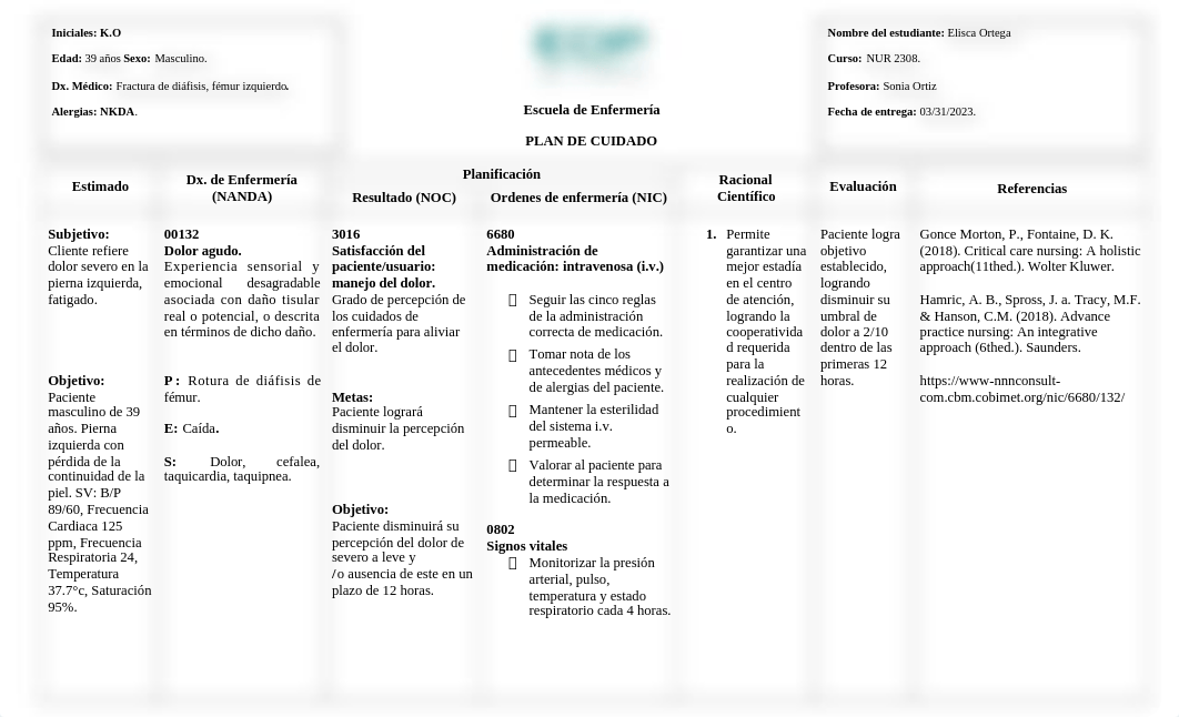 12. PLAN DE CUIDADO TABLA (6).doc_d38cqfg3ayq_page1