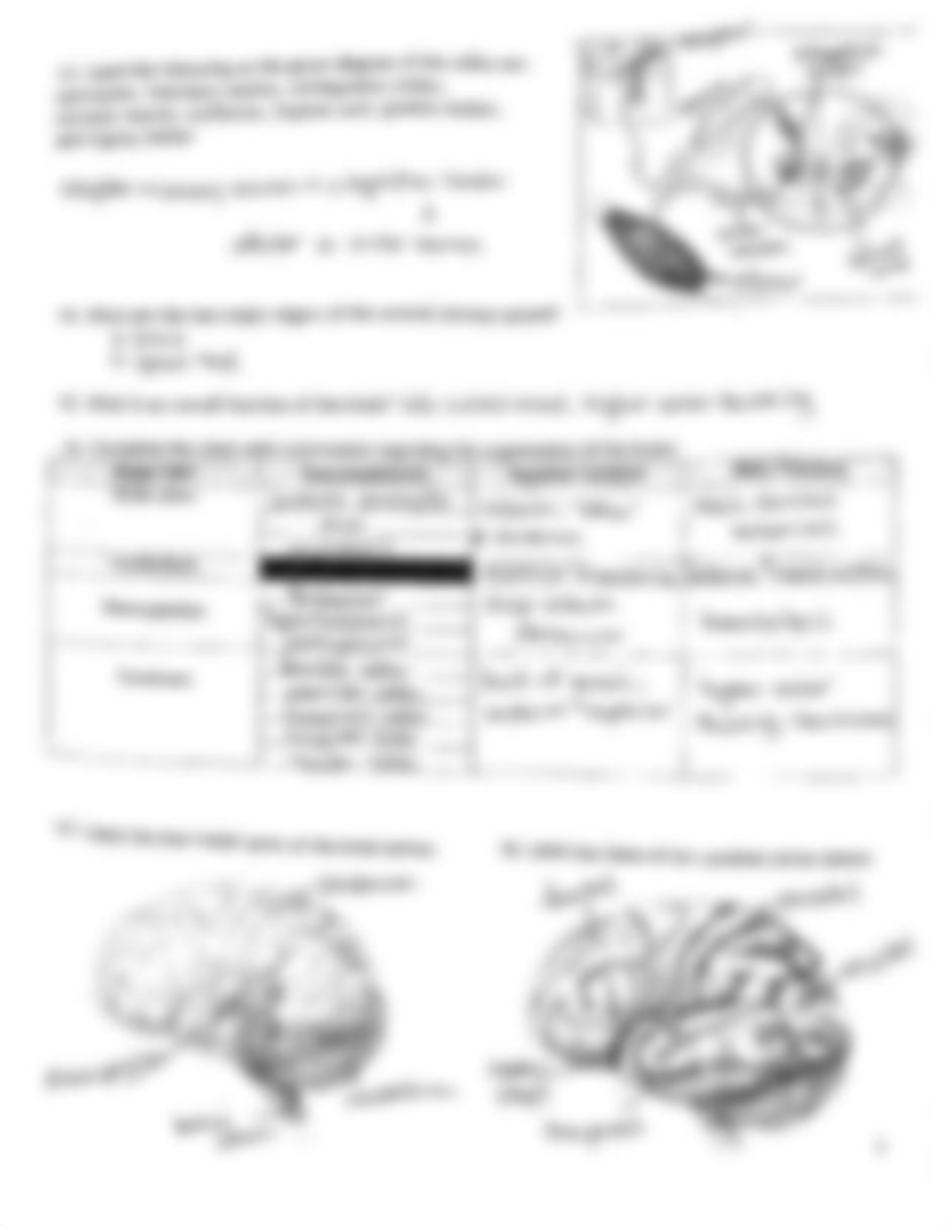 Lab 5 Answer Key.pdf_d38fl0pjwid_page3