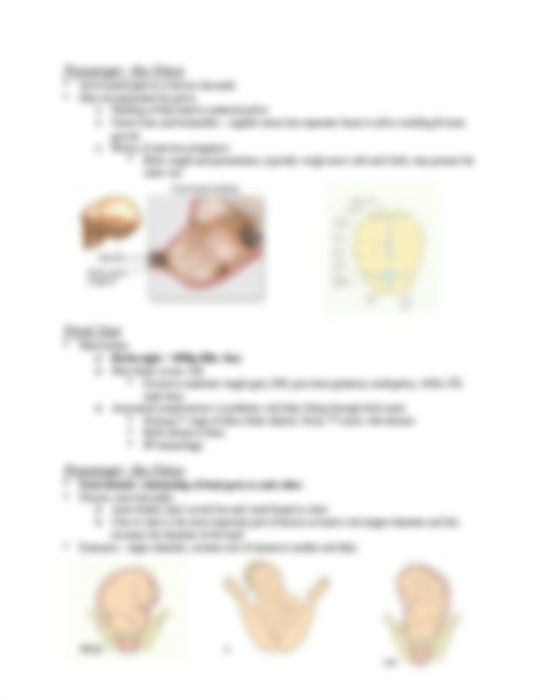 N330 Processes & Stages of Labor and Birth and Intrapartum Nsg Assessment.docx_d391vap111a_page3