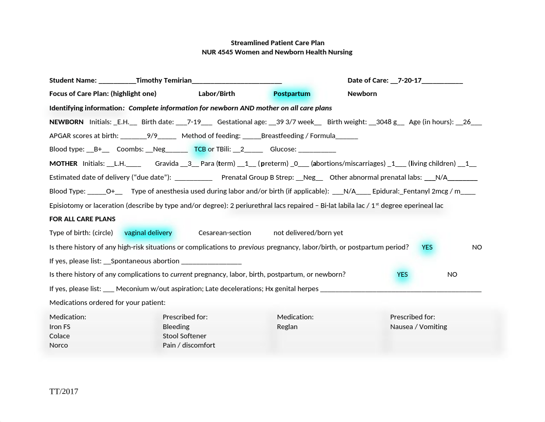 Careplan 2_T.Temirian.doc_d394py6kwcf_page1