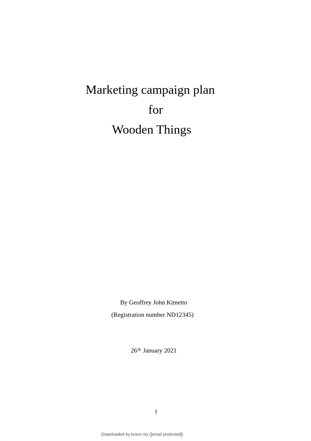 wooden-things-marketing-campaign-plan-report-v13-2021.pdf_d39aq8oqyeo_page2