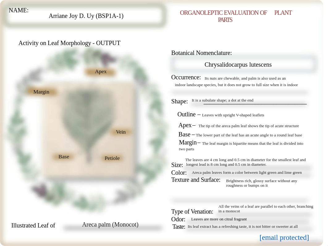 Uy, Arriane_BSP1A-1_ACTIVITY OUTPUT on LEAF MORPHOLOGY.pdf_d39hjid1vfd_page2