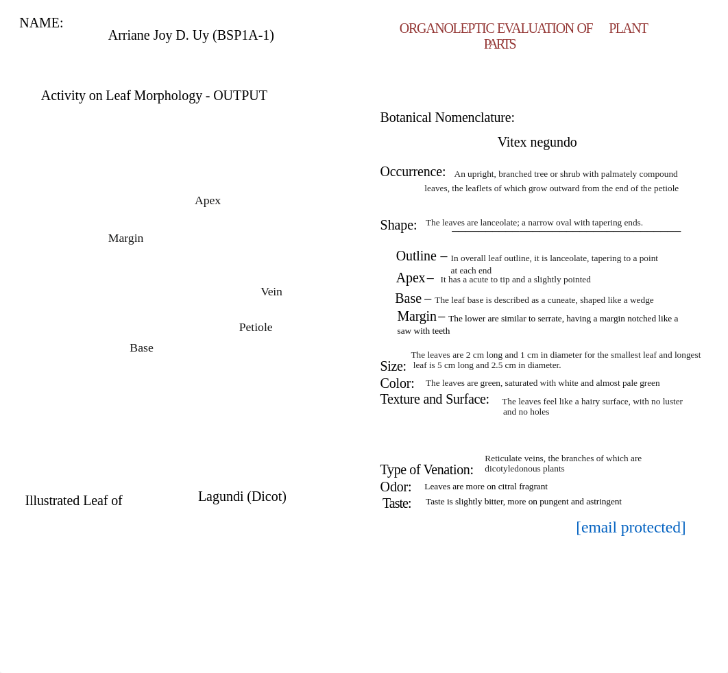 Uy, Arriane_BSP1A-1_ACTIVITY OUTPUT on LEAF MORPHOLOGY.pdf_d39hjid1vfd_page1