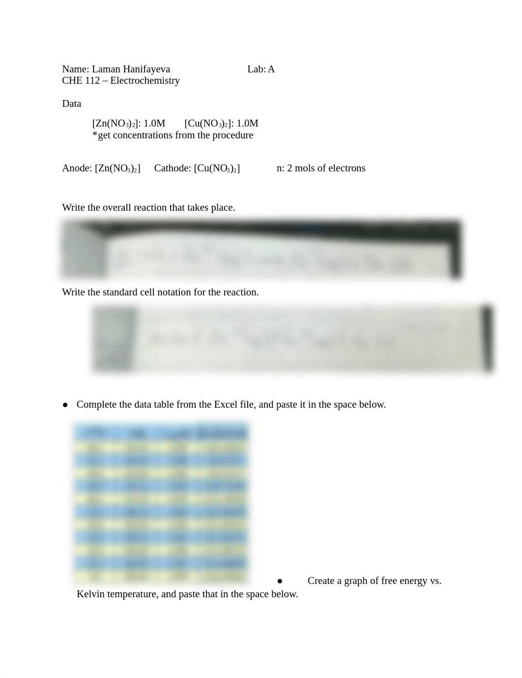 electrochemDataSheets.docx_d39jkcer3qj_page1