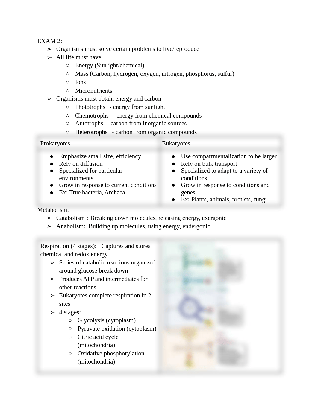 BIO 150 Exam 2 Study guide.pdf_d39mm9kpmdh_page1