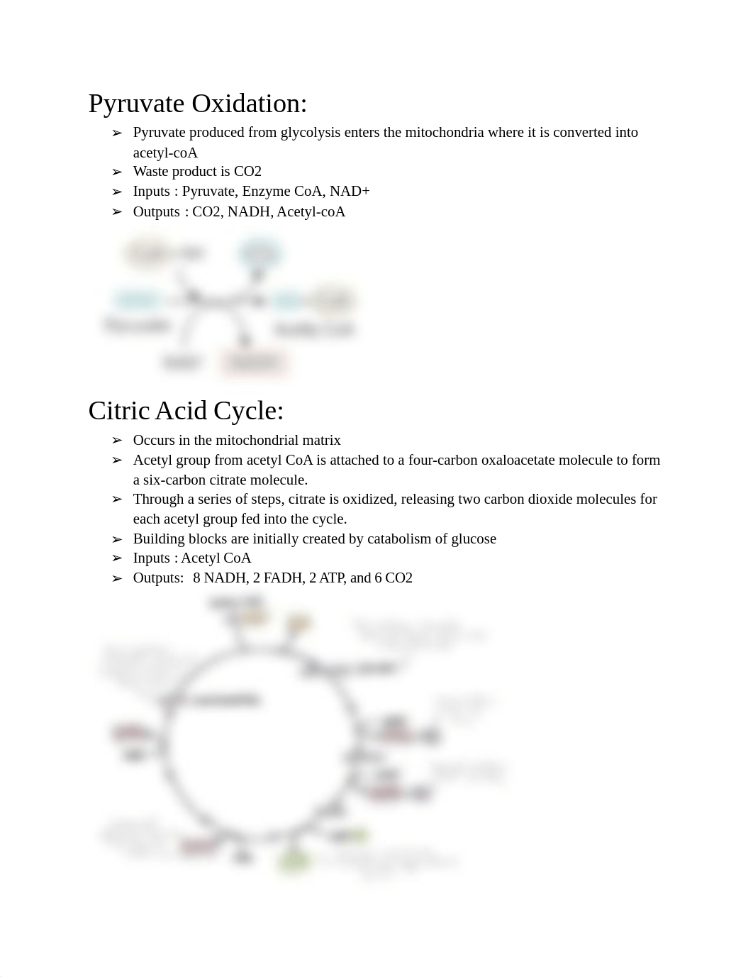 BIO 150 Exam 2 Study guide.pdf_d39mm9kpmdh_page3