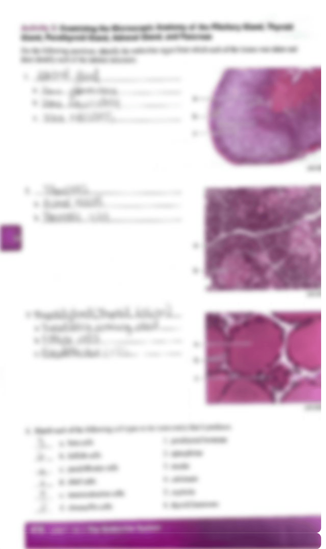 Post lab.pdf_d39n4pmsq1z_page2