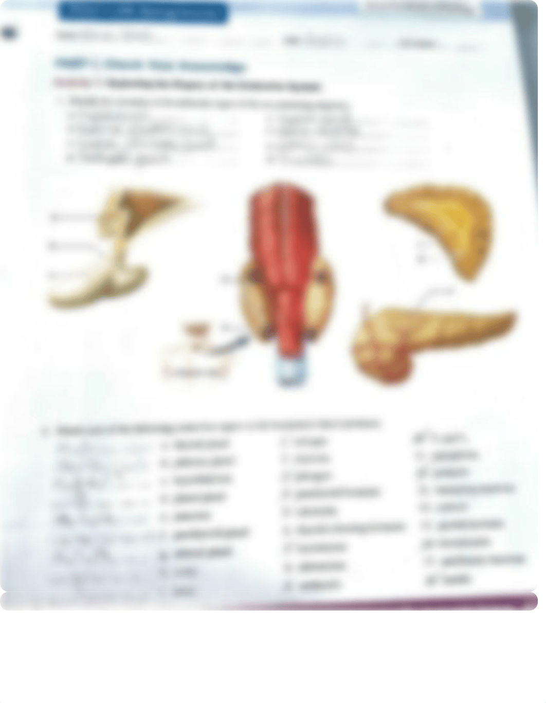 Post lab.pdf_d39n4pmsq1z_page1