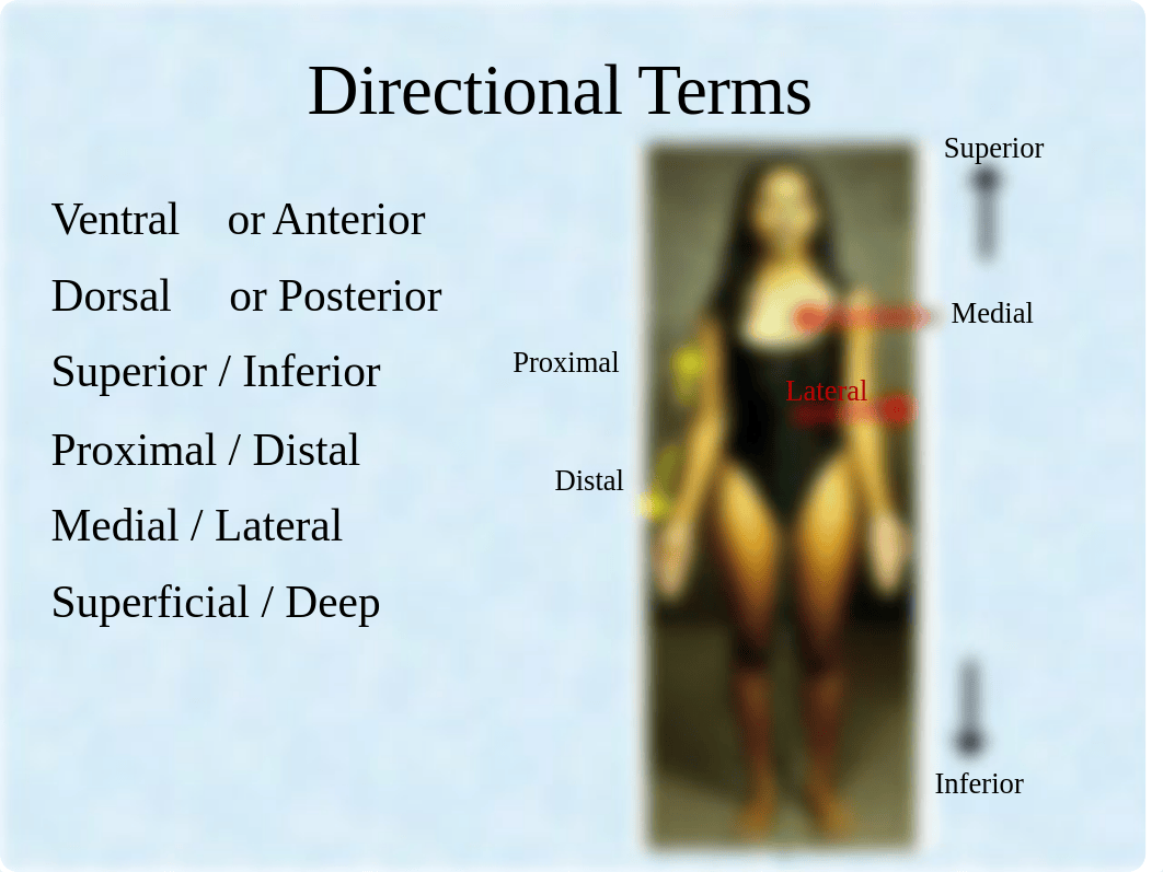 BIO2311- Atlas A PowerPoint.pptx_d39q551i813_page4