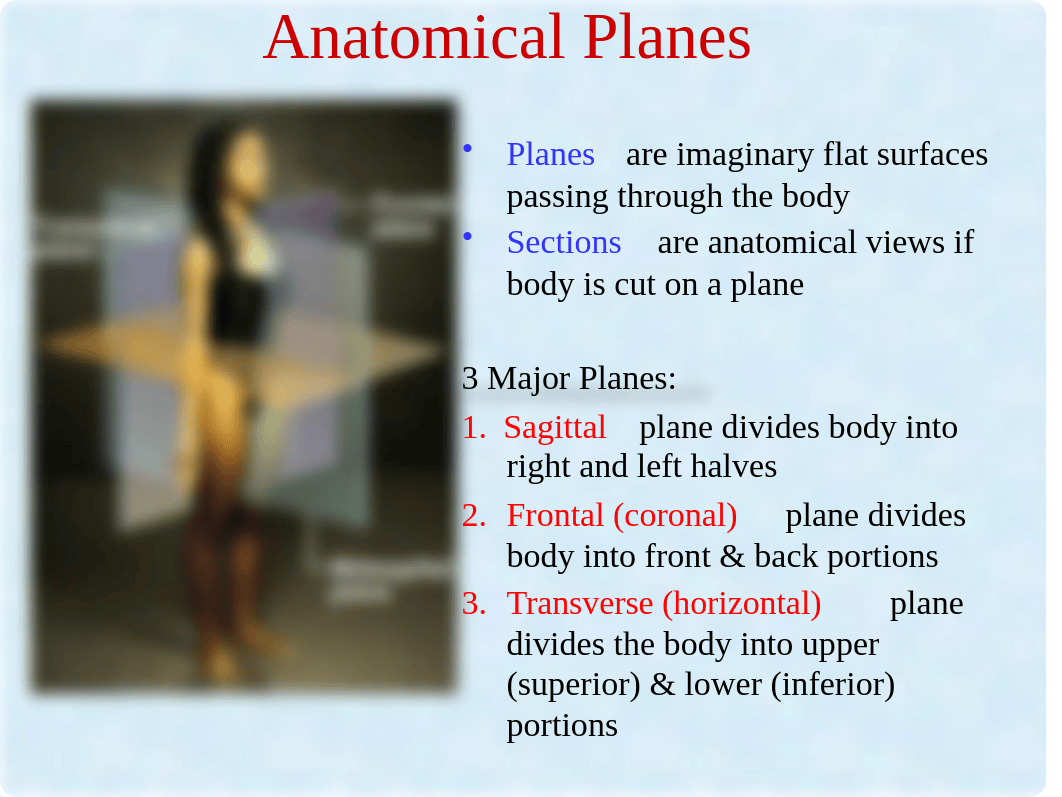 BIO2311- Atlas A PowerPoint.pptx_d39q551i813_page5