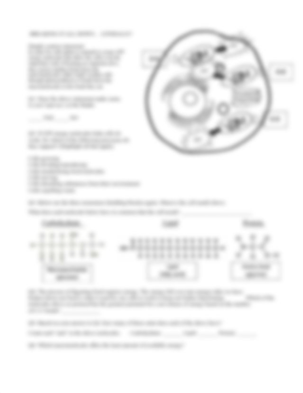 Elias SOPI - Macromolecules, Africa Week 6, Pt 2.pdf_d3a6lyijq2k_page2