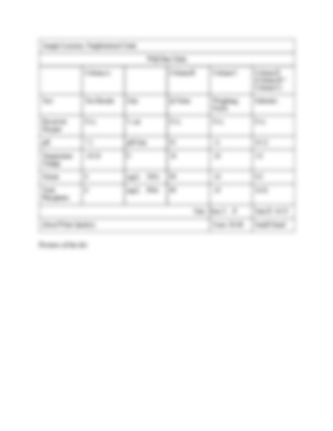 Water Quality Lab (1).pdf_d3akc3ovif4_page3