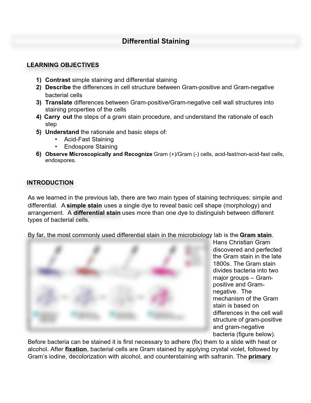 Lab 02 handout_ Differential Staining(1).pdf_d3alkdoq9ep_page1