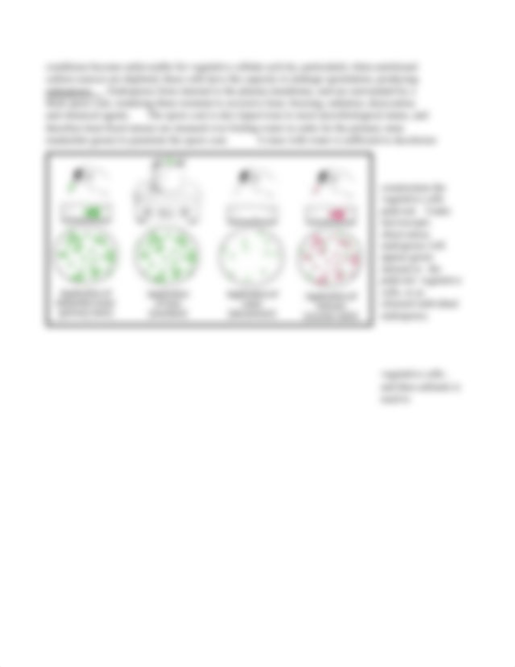 Lab 02 handout_ Differential Staining(1).pdf_d3alkdoq9ep_page3