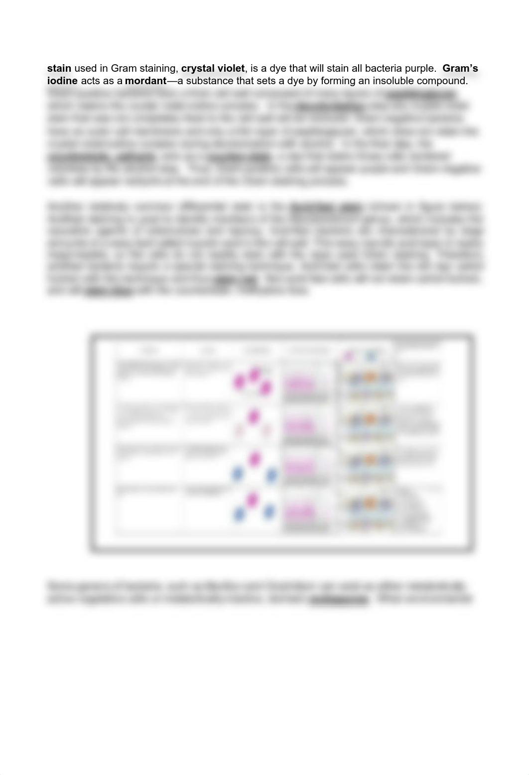 Lab 02 handout_ Differential Staining(1).pdf_d3alkdoq9ep_page2