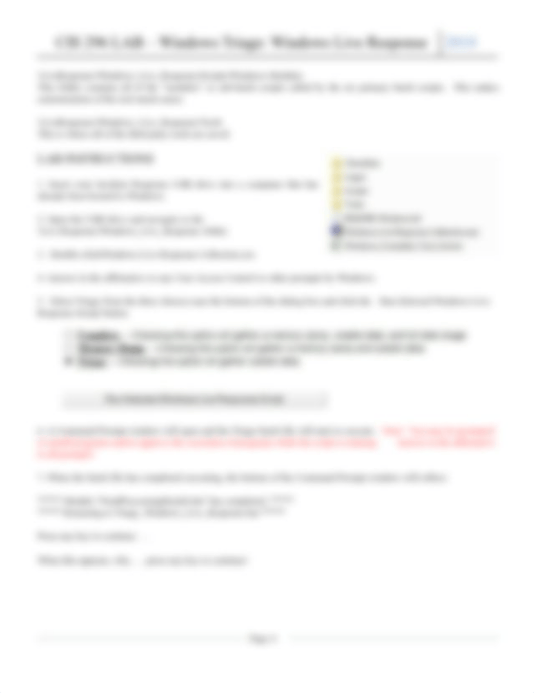 Windows Triage - Windows Live Response.pdf_d3anf5sohld_page4