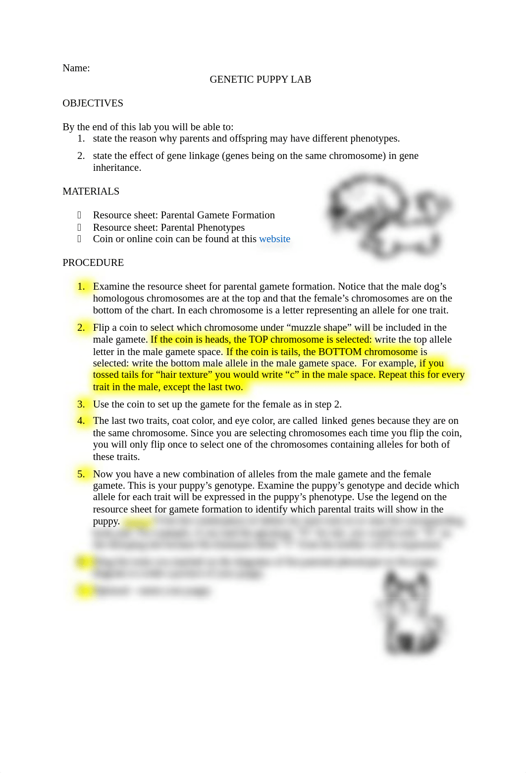 Genetic_Puppy_Lab_for_Digital (1).doc_d3ao6yuqieg_page1