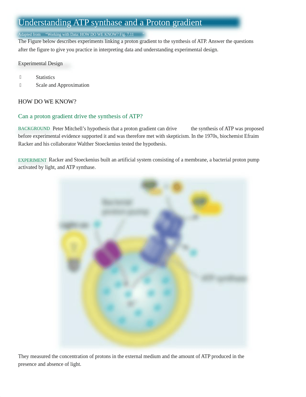 Understanding_ATP_synthase_and_a_Proton_gradient.pdf_d3aq4w0hb48_page1