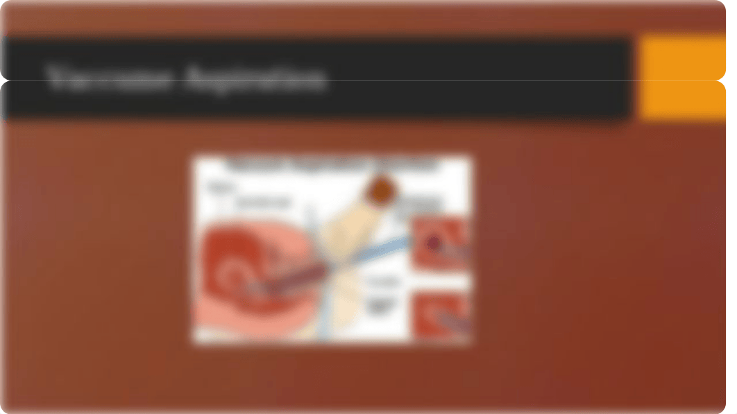 abortion powerpoint_d3auti0lvlf_page3