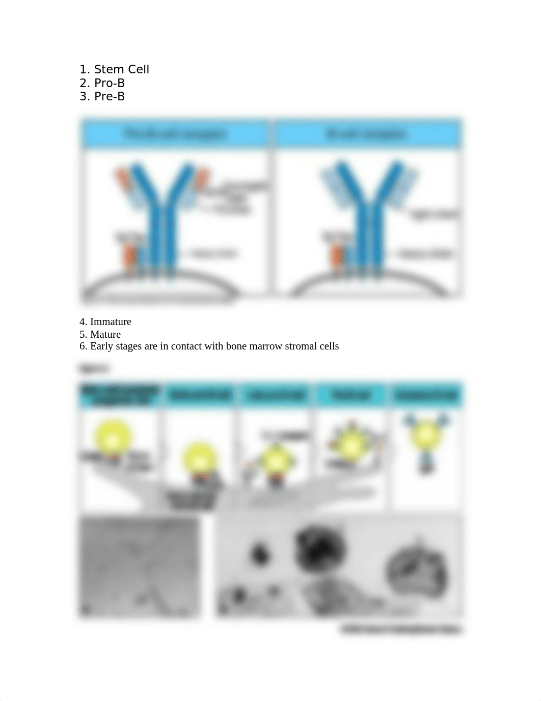 BIOL 445 Chapter 4_d3awhrciyix_page2