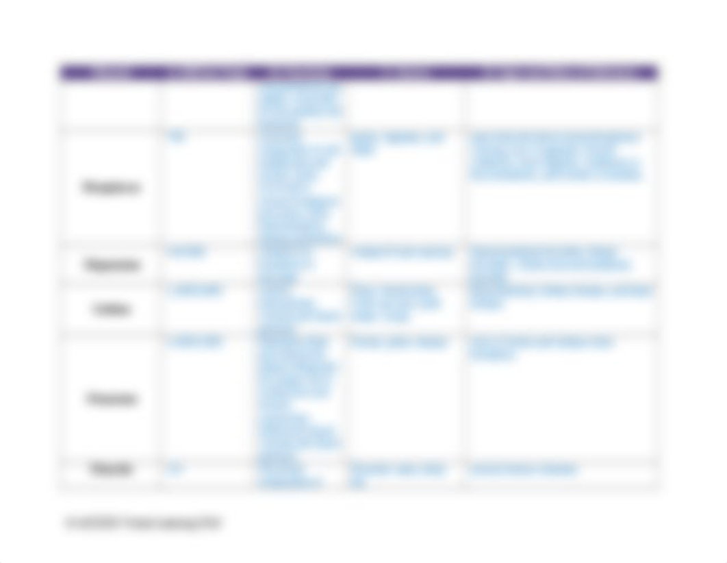 2.07 Minerals Chart.docx_d3awrpbazkg_page2