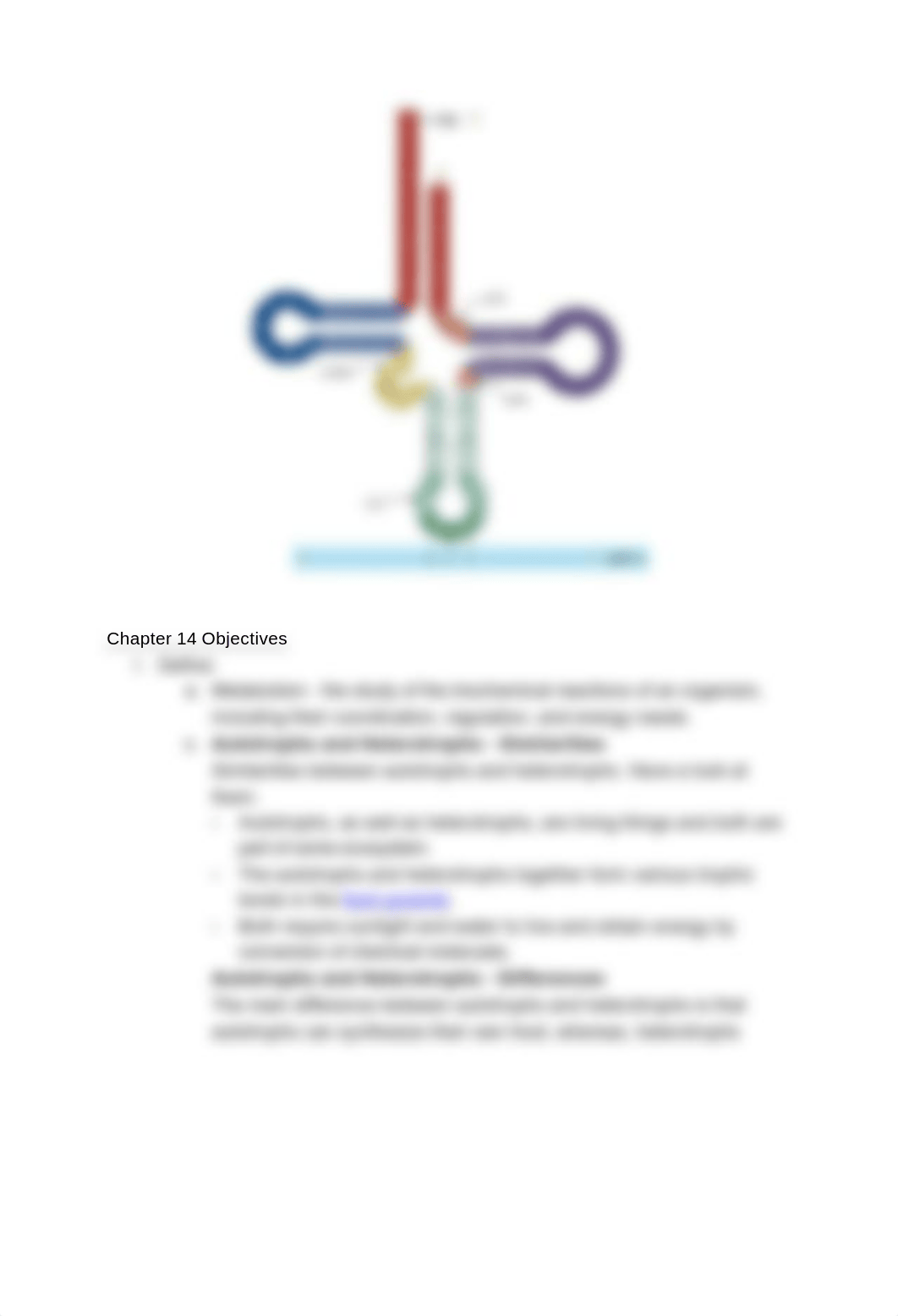 Biochem test 3 objectives - Chapter 14-17_d3b3ffffjiz_page5